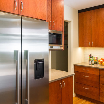 Ann Arbor "Tiny" Kitchen remodel