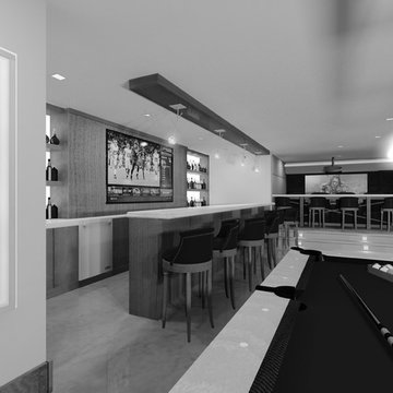 Polished Contemporary Lower Level