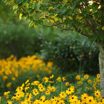 Gardens in New Canaan