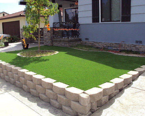 Beautiful Front Yard