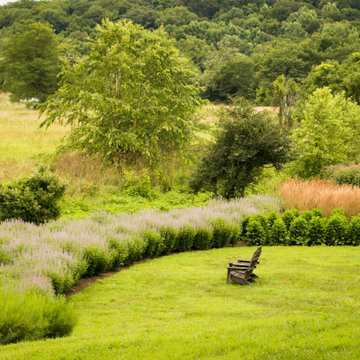 Stylized Meadow on Natural Lands Trust and Stroud Preserve, West Chester PA