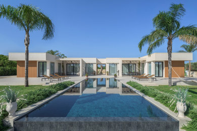 Idee per una grande piscina coperta a sfioro infinito contemporanea rettangolare con paesaggistica bordo piscina e piastrelle