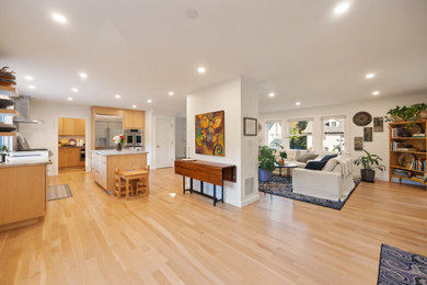 Living room - transitional light wood floor and beige floor living room idea in Boston with white walls