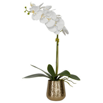 Cami Orchid With Brass Pot