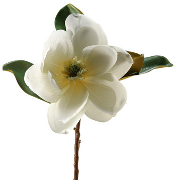 Cream Magnolia, Set of 3