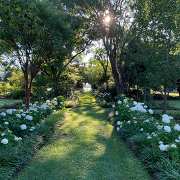 Central Hydrangea Walk