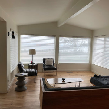 Silhouette Window Shadings