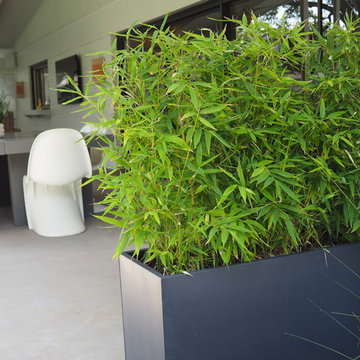 Contemporary, Low Maintenance Beauty