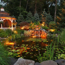 Koi pond