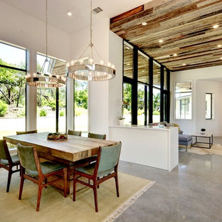 オースティンの中サイズのエクレクティックスタイルのLDKの画像 (白い壁、コンクリートの床、暖炉なし)