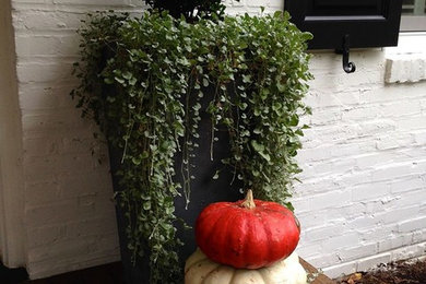 Photo of a traditional landscaping in Philadelphia.