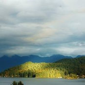 Carol Jones's photo