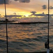 Chad Willhoite's photo