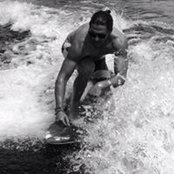 Fred Gin's photo