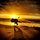 jeffrey_haley
