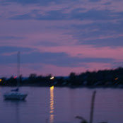 Robin's photo