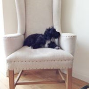 Margaret Mak's photo