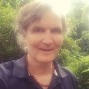 Scotty Harvy's photo