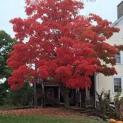 Cindy Budzianowski's photo