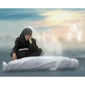 Moataz Ashmawy's photo