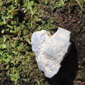 Alison Albright's photo
