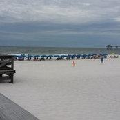 Foto von Shonda McKnight