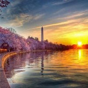 Cindy Venne's photo