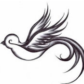 Chelsi Thibodeaux's photo