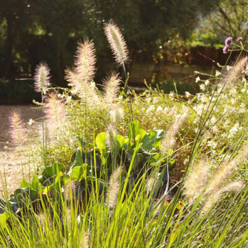CRESTATX GARDEN DESIGN