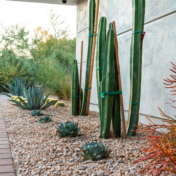 Paradise Pool and Outdoor Living Landscape on Paradise Valley