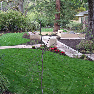 EXAMPLES OF WORK