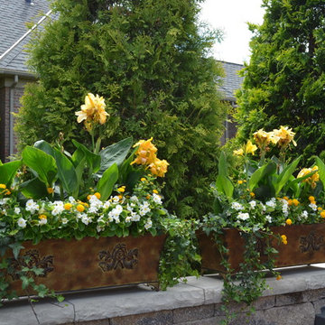 Sandusky Home Landscape