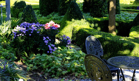 Suivez le Guide : L'incroyable jardin de Karel Brosens