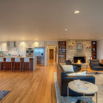 Mid-Century View House
