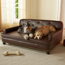 Dog stuff
