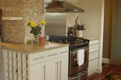 Inspiration for a kitchen remodel in Toronto