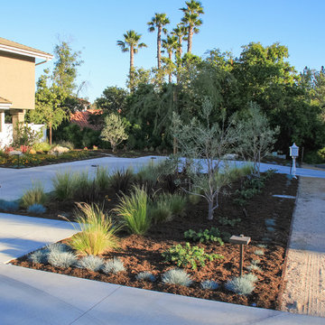 Water Saving