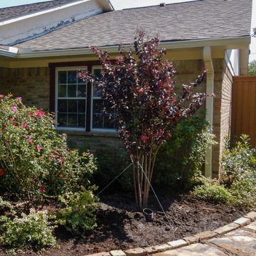 Flowering Trees & Shrubs