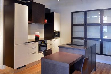 Kitchen - contemporary kitchen idea in Ottawa
