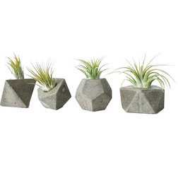 Contemporary Indoor Pots And Planters by Anson Design CO