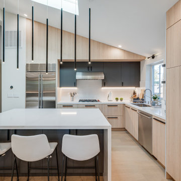 Modern House