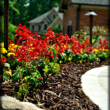 Annual Beds