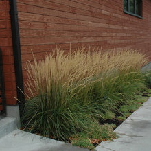 Landscaper Screening