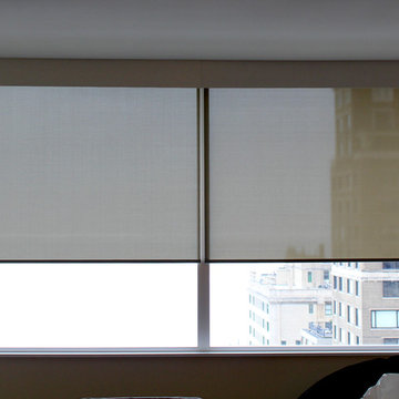 Designer Screen Roller Shades- Downtown Chicago