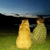 Steve Groves's photo