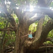 Sepideh Jafari's photo