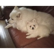 Dorothea Ashbery's photo