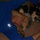 roxy_havard