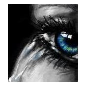Jessica Olson's photo
