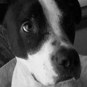 Jason Hockenberry's photo